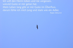 Adler